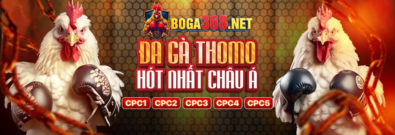Đá gà trực tuyến 32wim chính thức 2026